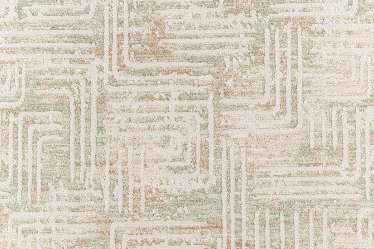 T01017088_CL