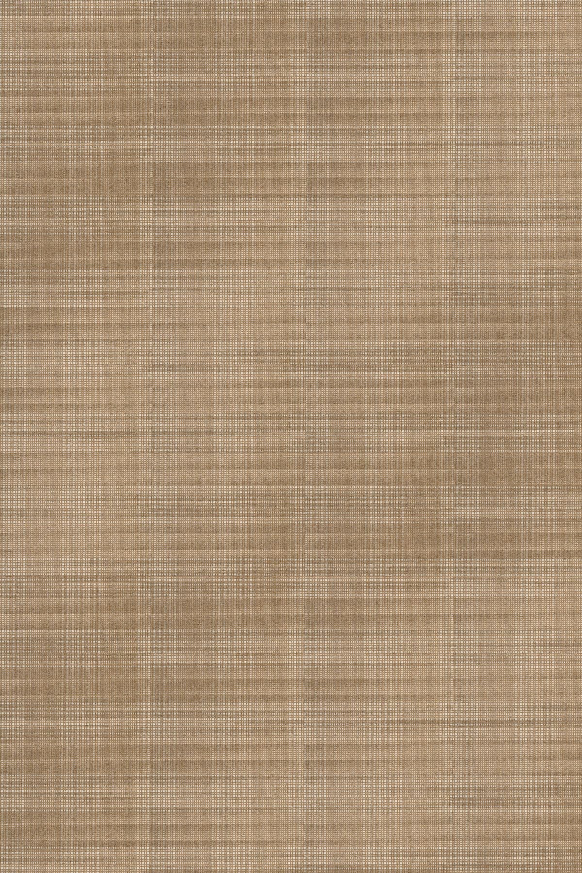 T01017468_ALT2