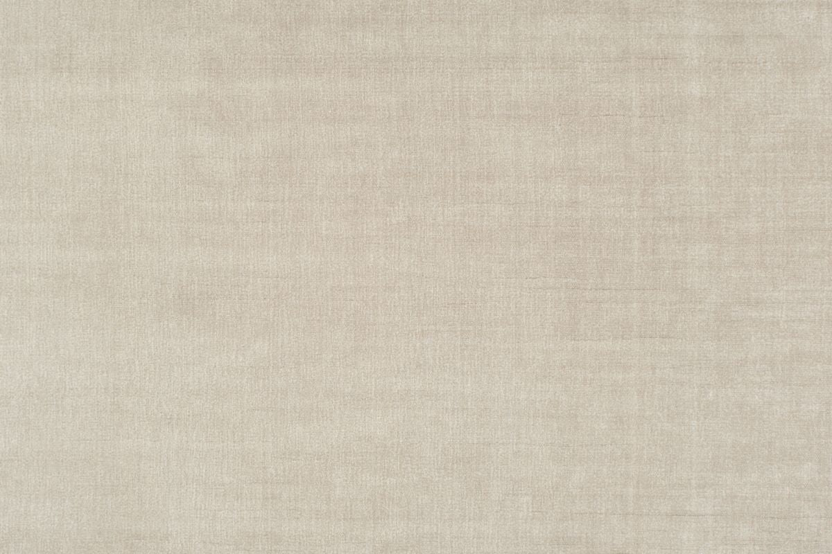 T01017488_ALT2