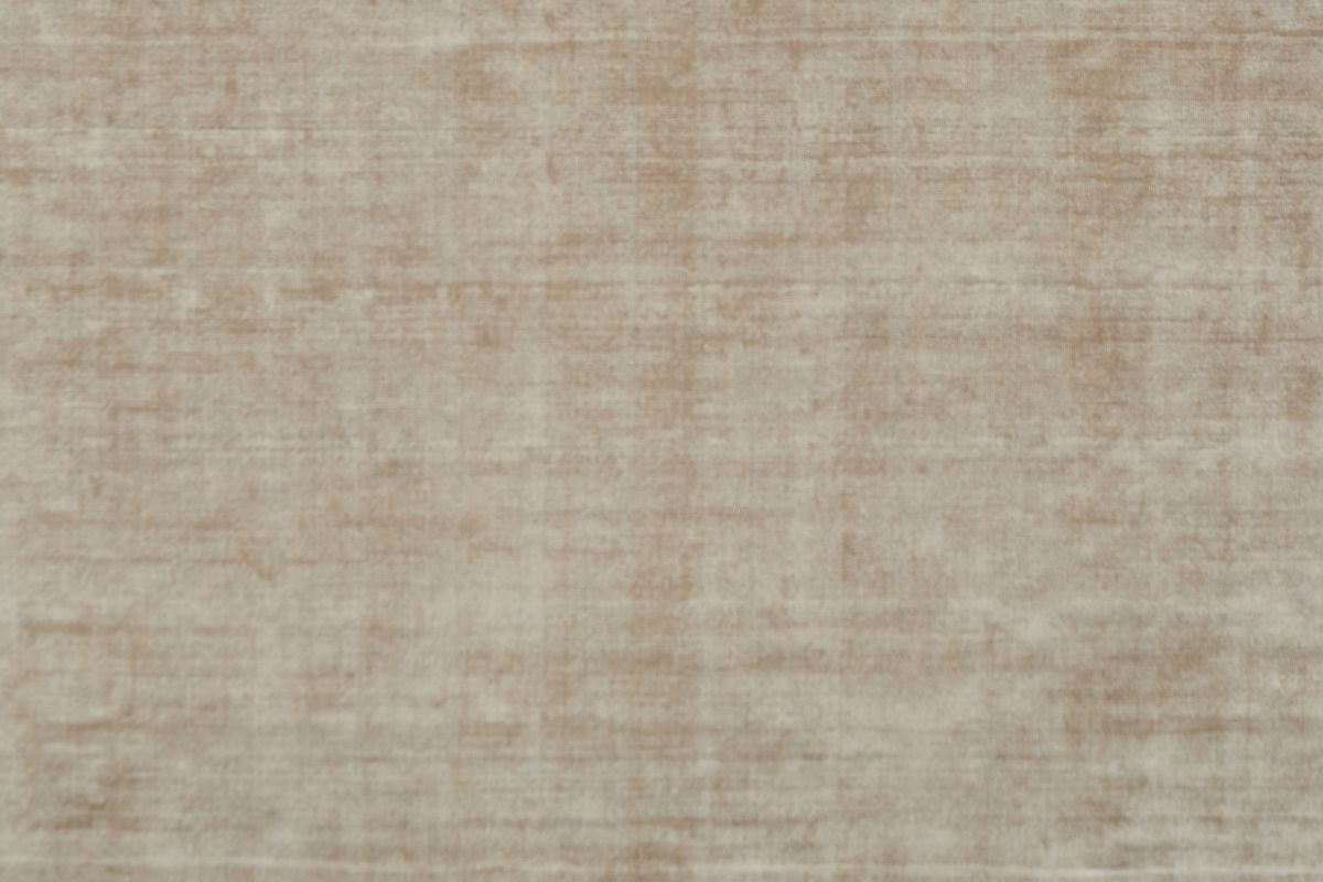 T01017595_ALT2