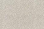 Pearl/dove