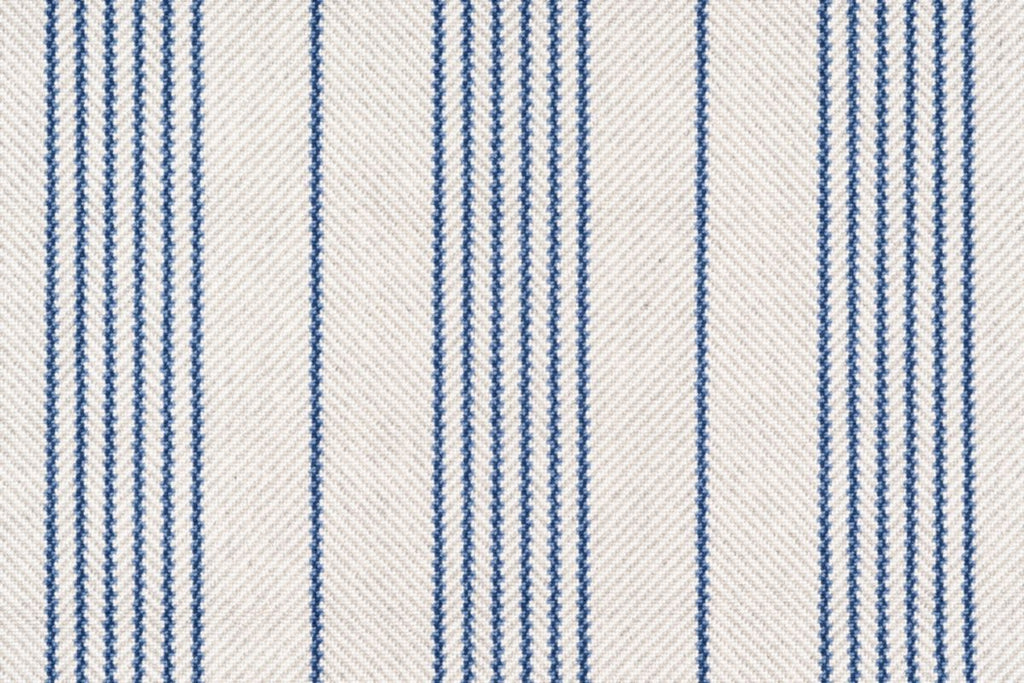 Cornflower/royal