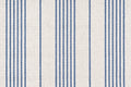 Cornflower/royal